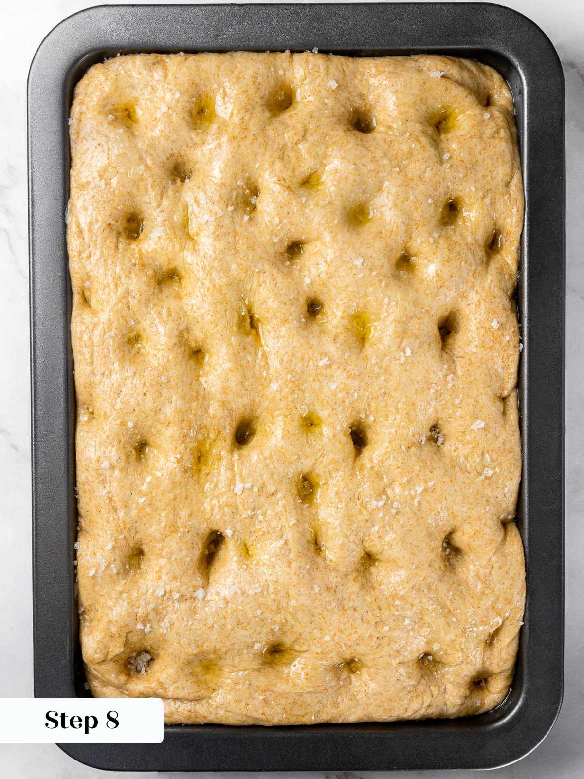 Whole wheat focaccia dough puffed and airy after final proof in pan.