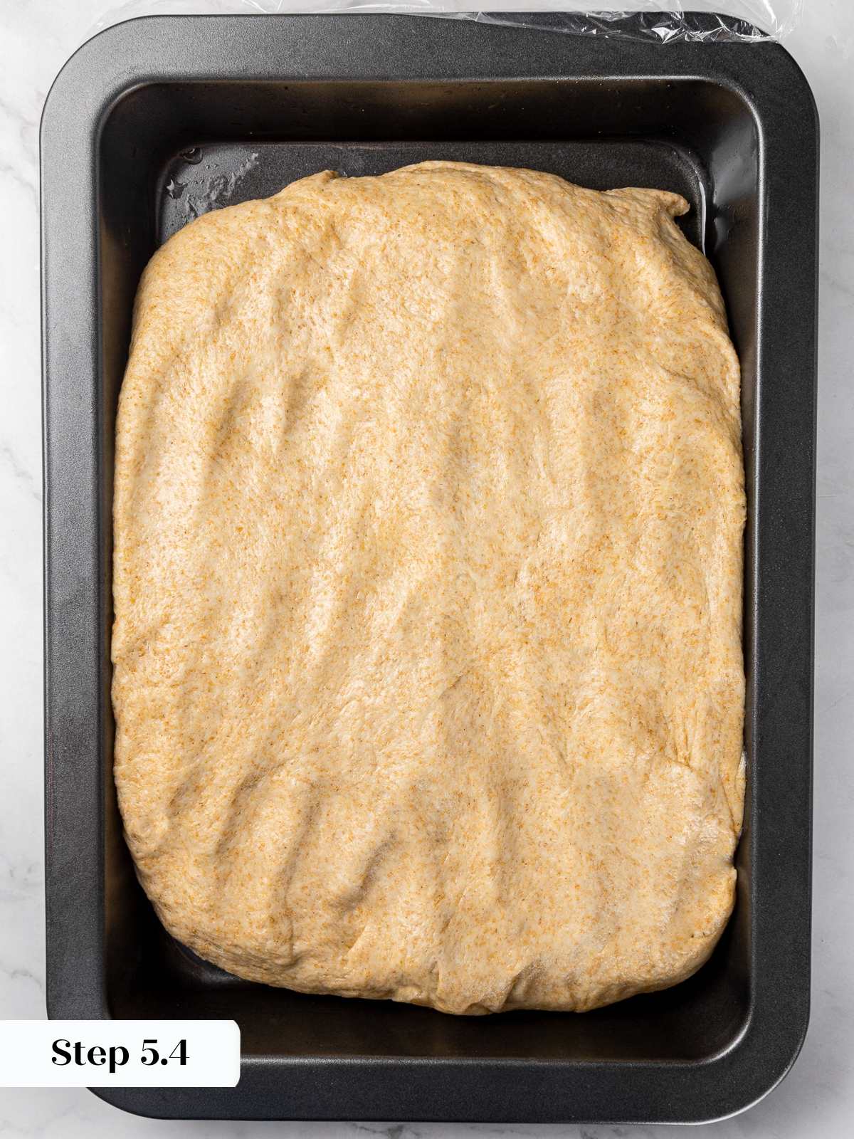 Whole wheat focaccia dough gradually pressed outward across baking pan.