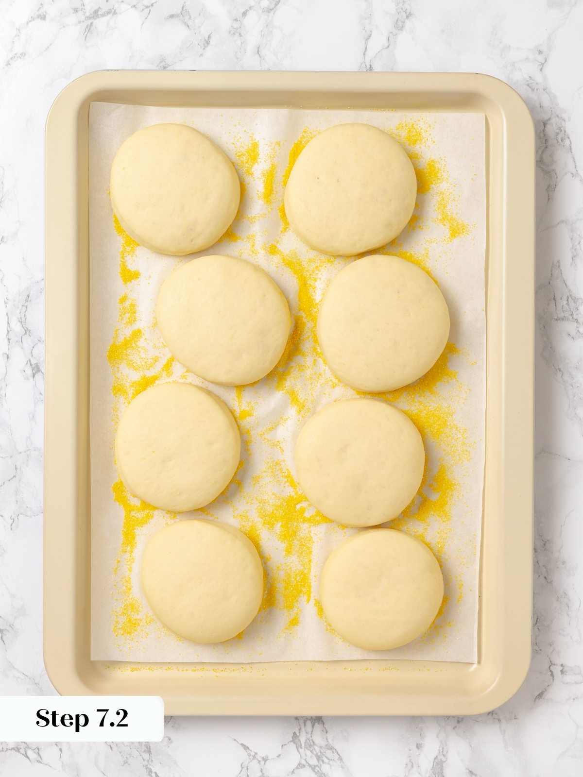 Fully proofed muffin rounds visibly puffed and taller before pan-frying step.