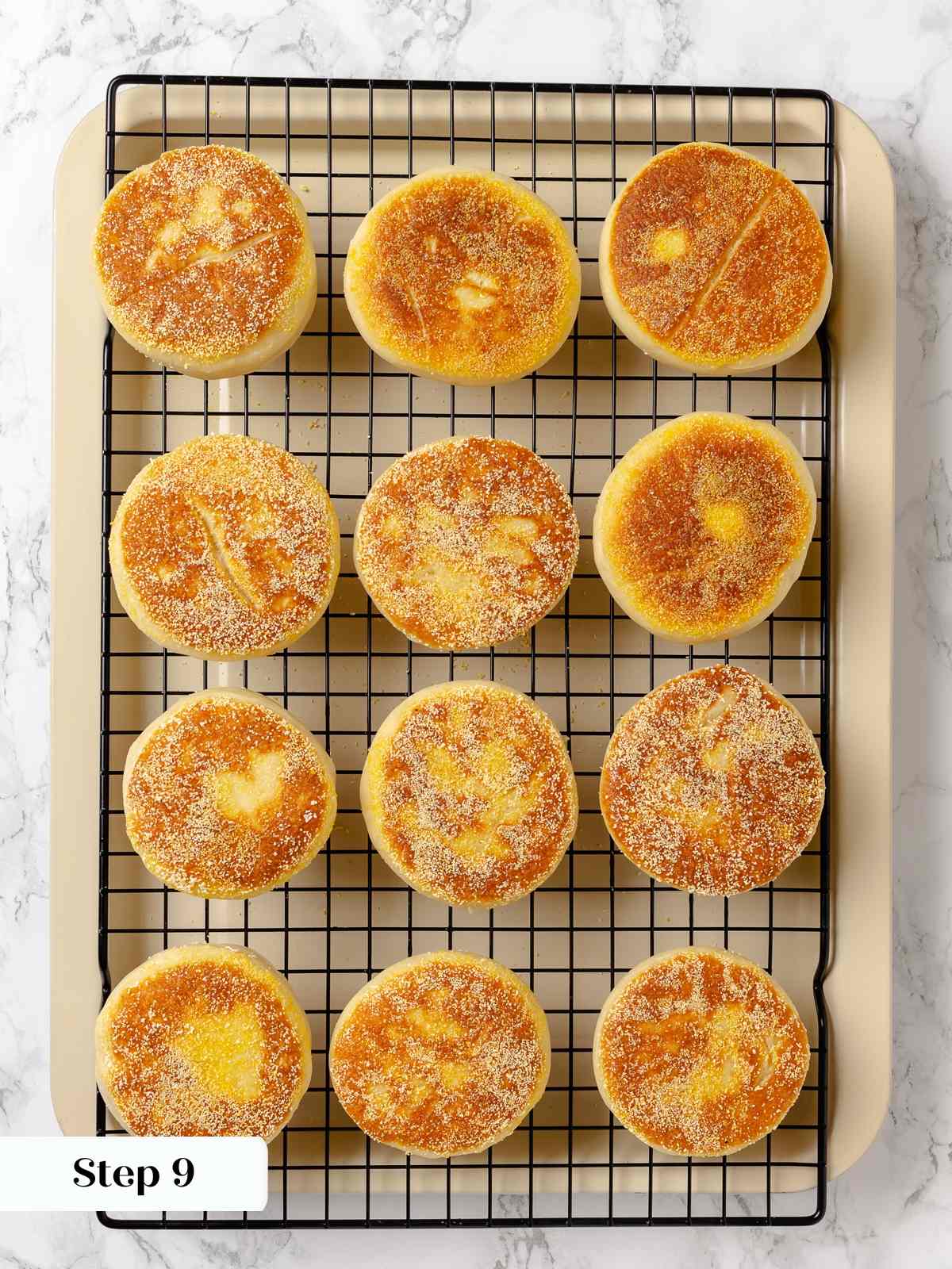 Freshly baked English muffins cooling on rack with golden crusts and cornmeal bottoms visible.