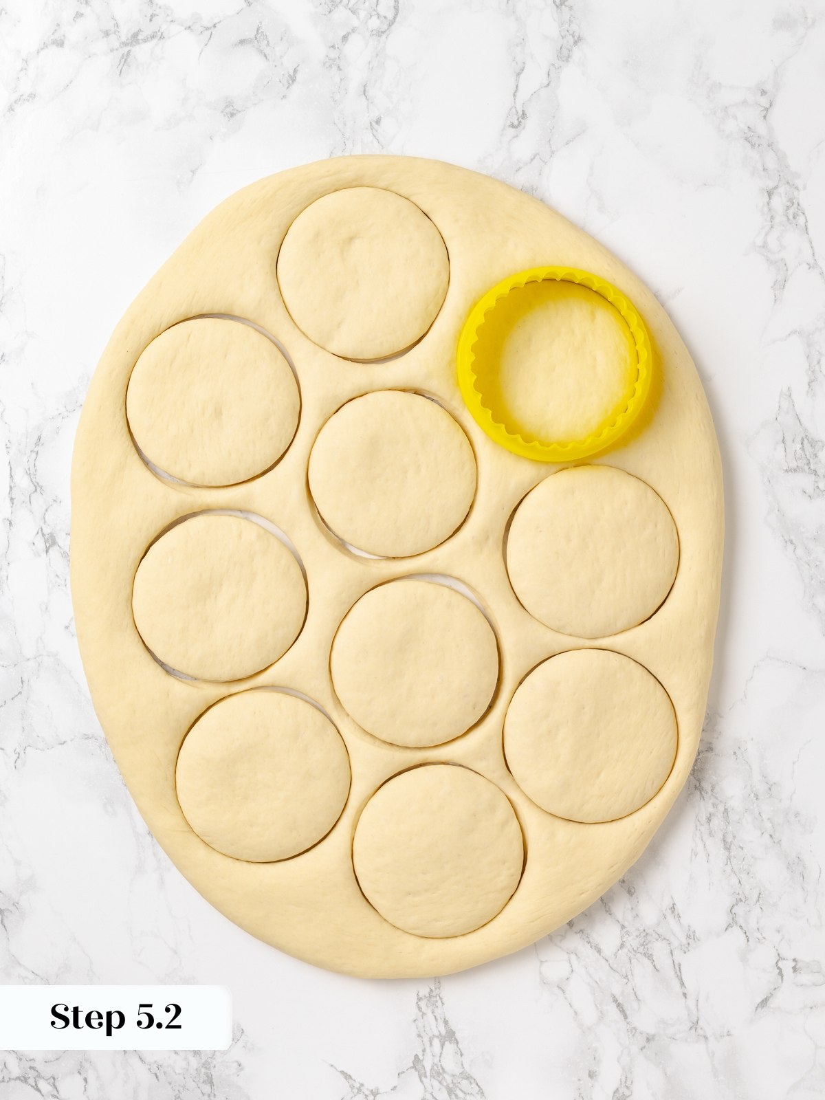 Circular dough pieces showing consistent thickness and shape.