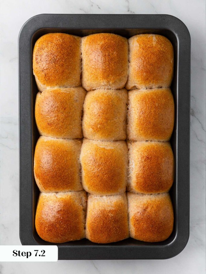 Freshly baked whole wheat sourdough rolls in pan with golden tops and soft sides.