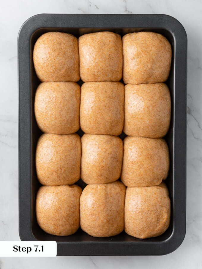 Shaped rolls coated lightly with egg wash, ready for oven with shiny tops.
