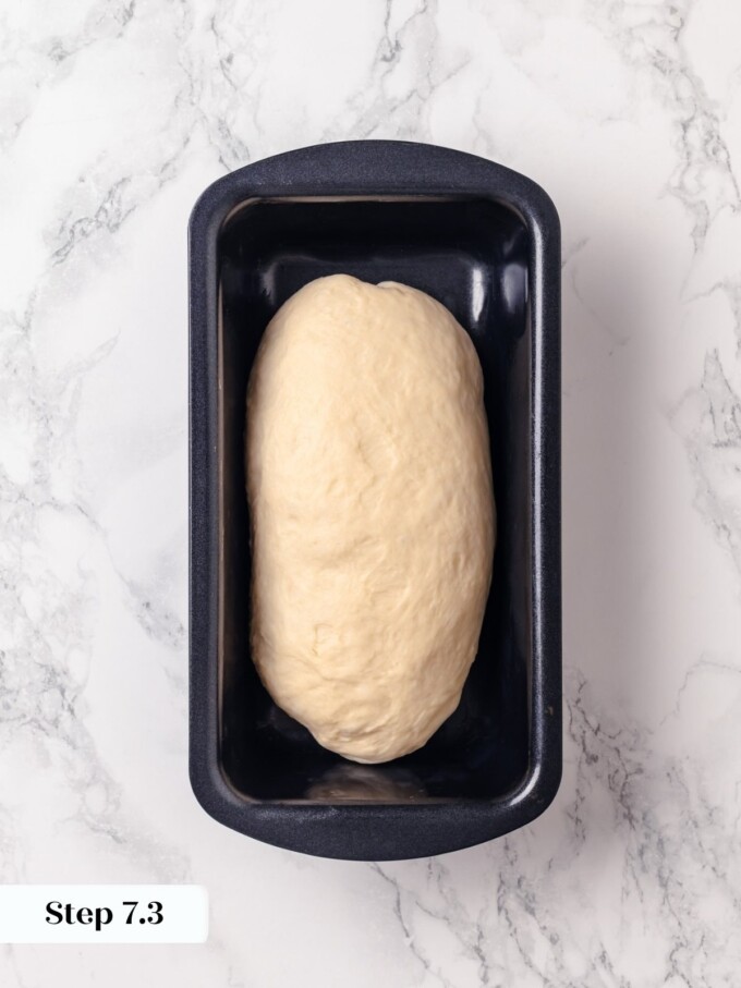 Shaped buttermilk dough placed seam side down in greased dark loaf pan.