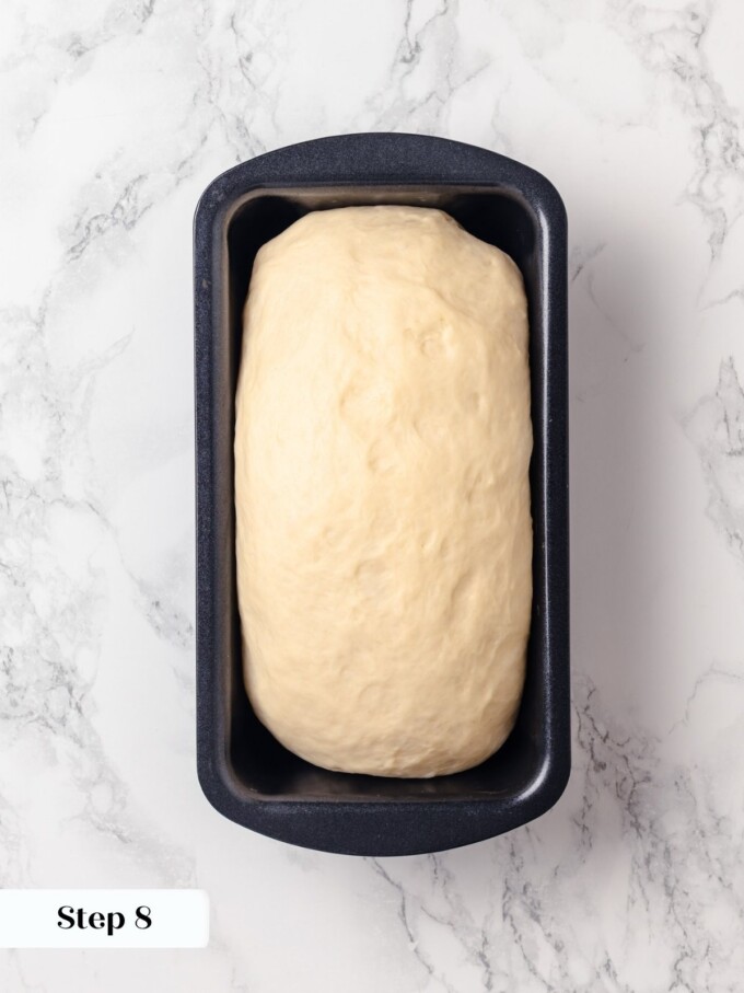 Buttermilk bread dough risen above the rim of dark loaf pan after second proof.