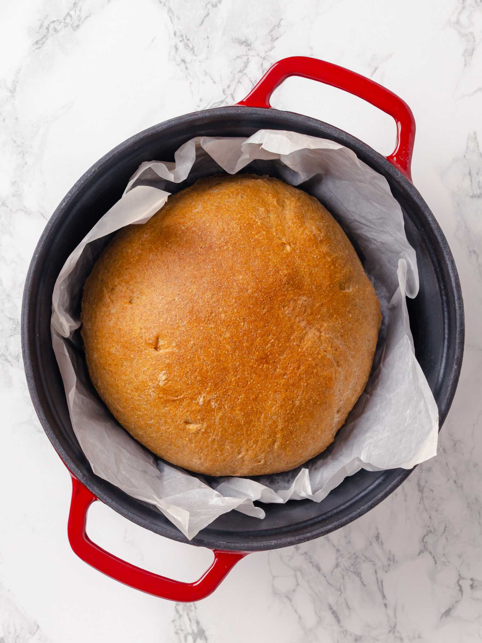 Round wheat bread loaf finished baking inside a parchment lined cast iron pot.