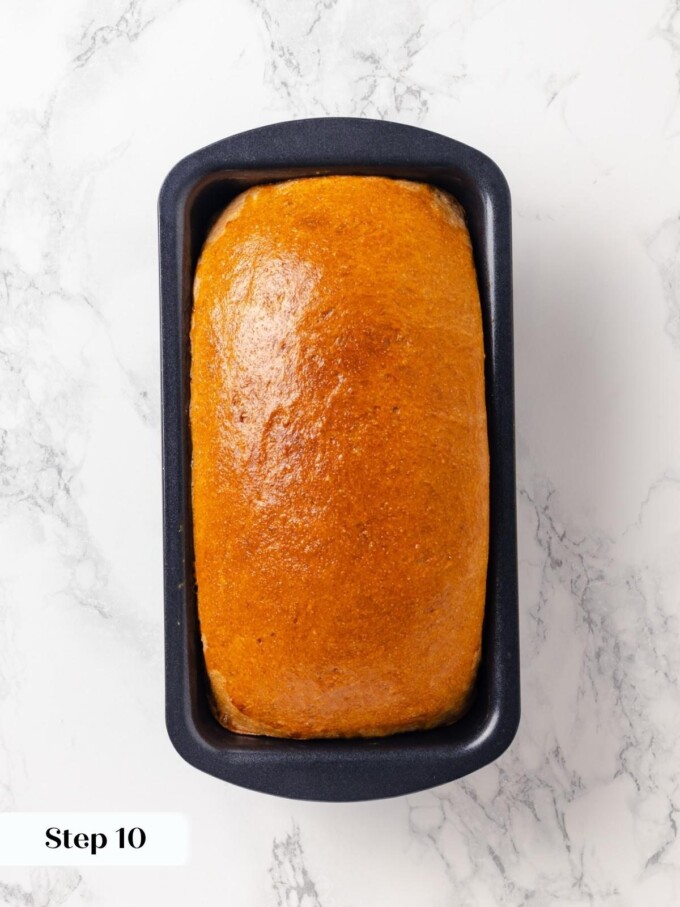 Golden brown whole wheat loaf finished baking inside a dark nonstick loaf pan.