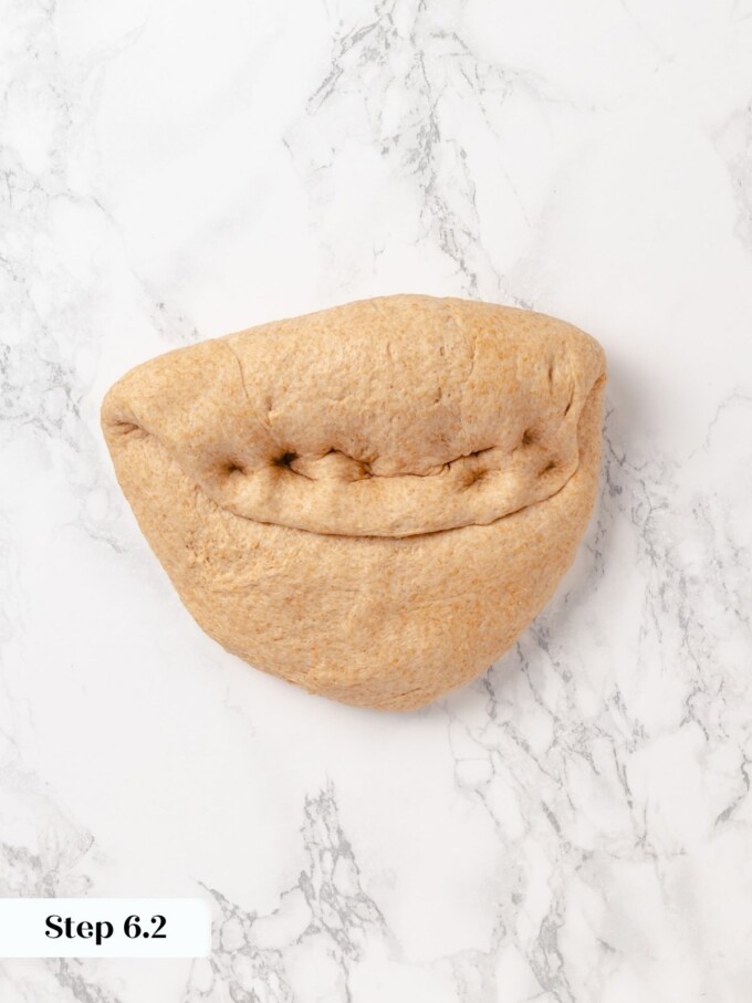 Half dome of whole wheat dough showing tight seam after first pre-shape fold.