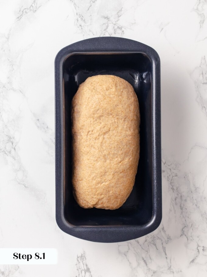 haped whole wheat dough placed seam side down inside a greased dark loaf pan.