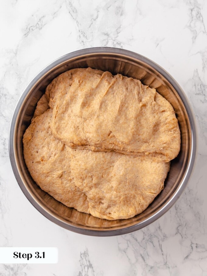 Whole wheat dough after first round of stretch and fold in stainless mixing bowl.