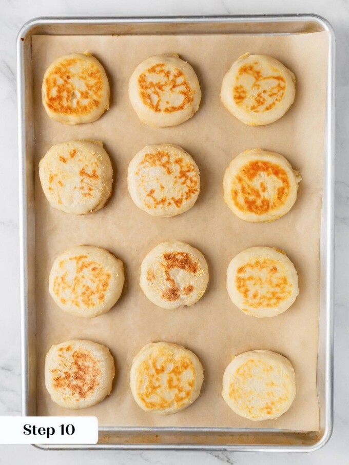 Twelve baked sourdough English muffins with golden cornmeal crusts on a parchment-lined sheet pan after baking.