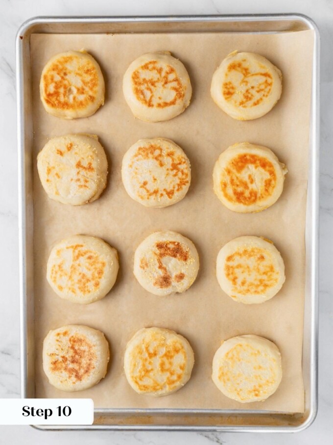 Twelve baked sourdough English muffins with golden cornmeal crusts on a parchment-lined sheet pan after baking.