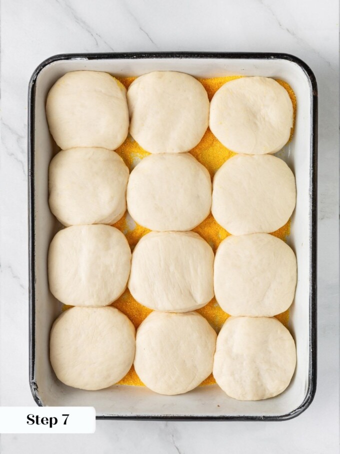 Sourdough English muffin rounds visibly puffed and doubled in height on a cornmeal-dusted enamel sheet pan.