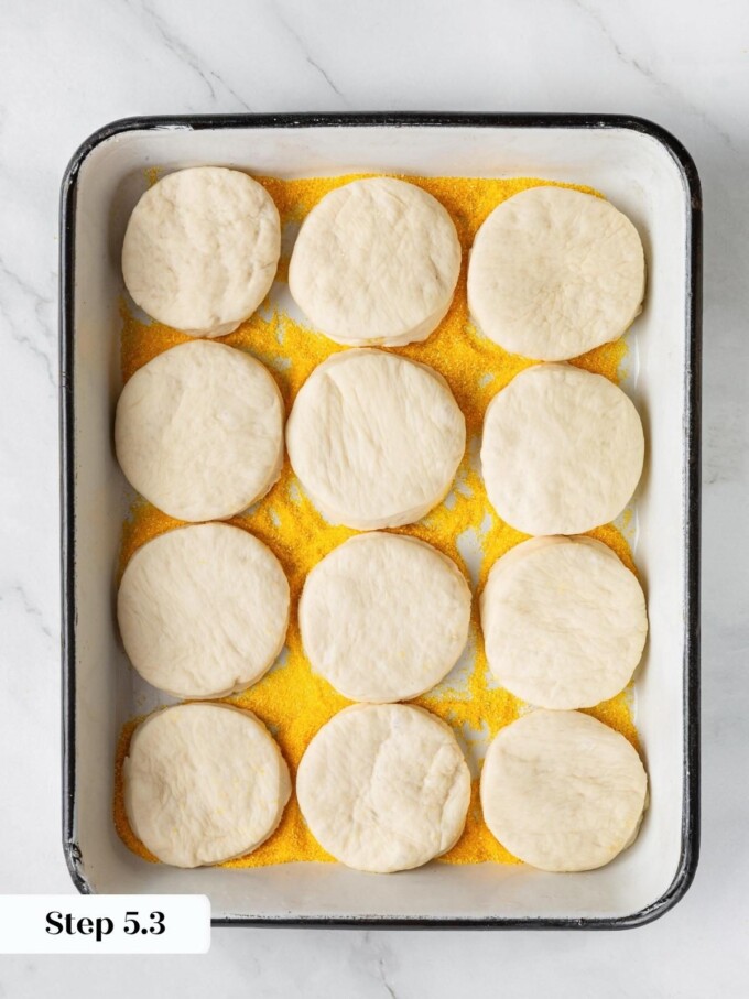 Twelve cut sourdough rounds arranged on a cornmeal-dusted enamel sheet pan before the final proof begins.