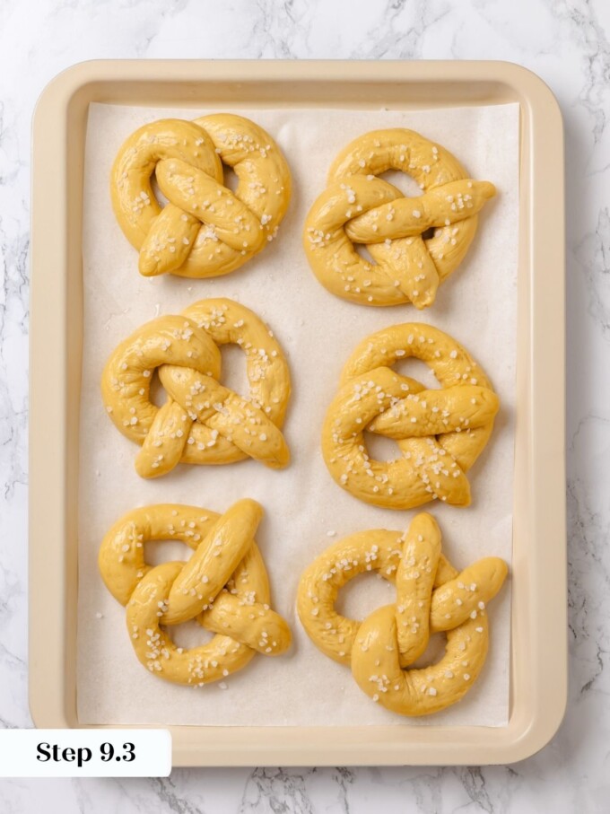 Six dipped pretzels dotted with coarse pretzel salt on parchment ready to slide into the oven.