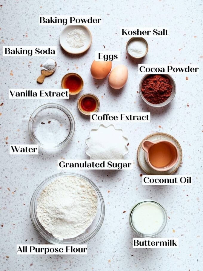 Everything you need for chocolate bread, measured into bowls before the easy one-bowl mixing begins.