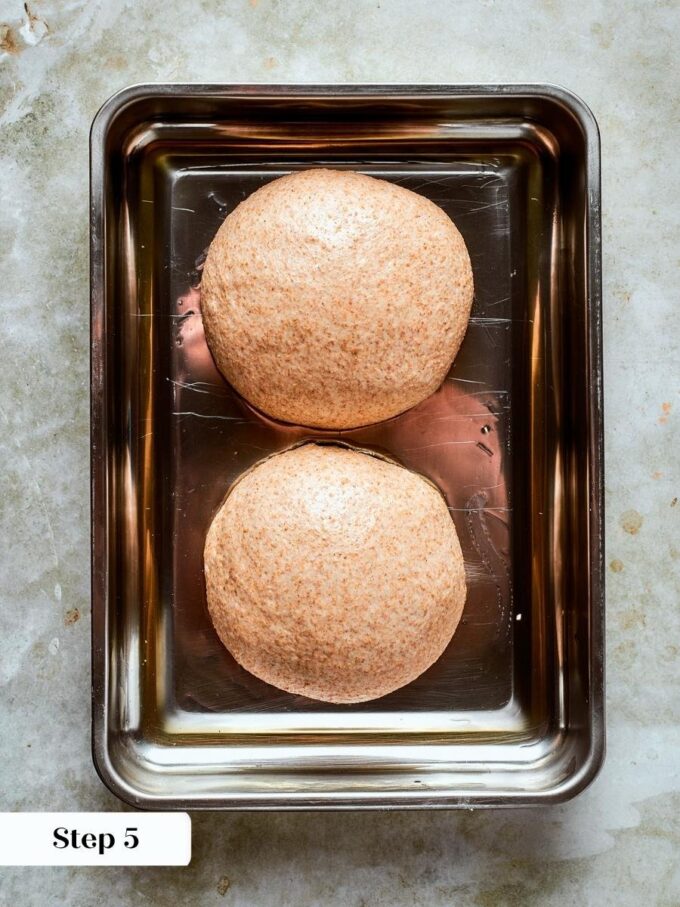 Onto an oiled tray the whole wheat pizza dough goes before its overnight cold ferment.