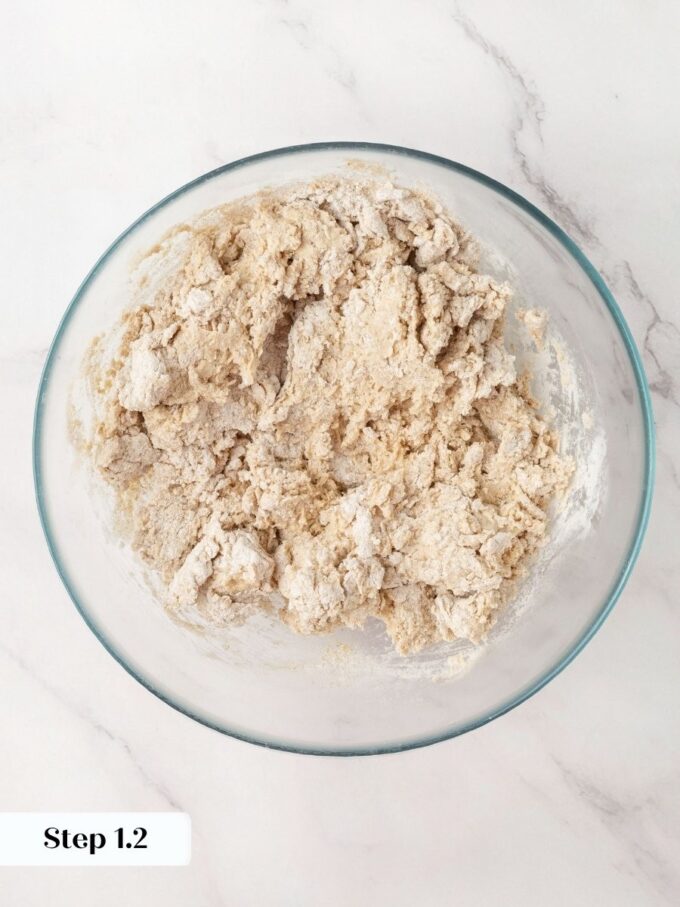 Shaggy is the right stage here; sourdough crispbread dough should never look smooth or slack.