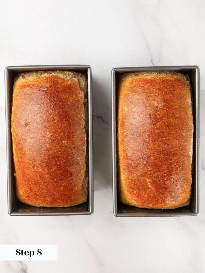 An instant-read thermometer at 185F confirms sourdough rye bread is baked all the way through.