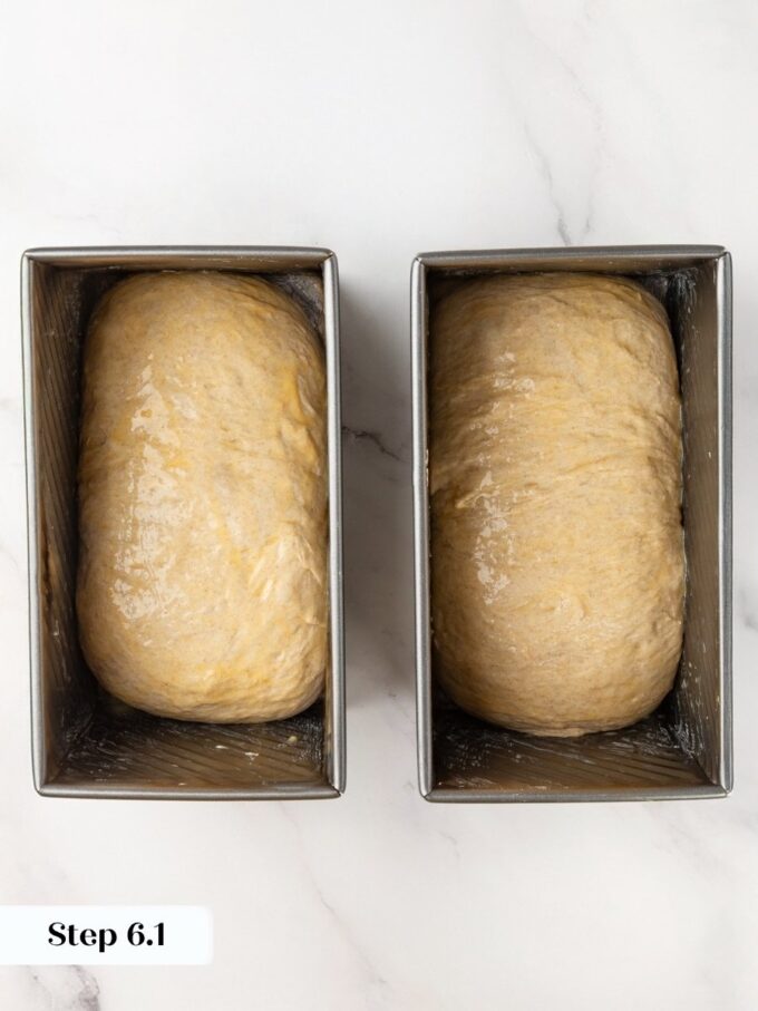Egg wash keeps sourdough rye bread from drying out while it proofs uncovered.