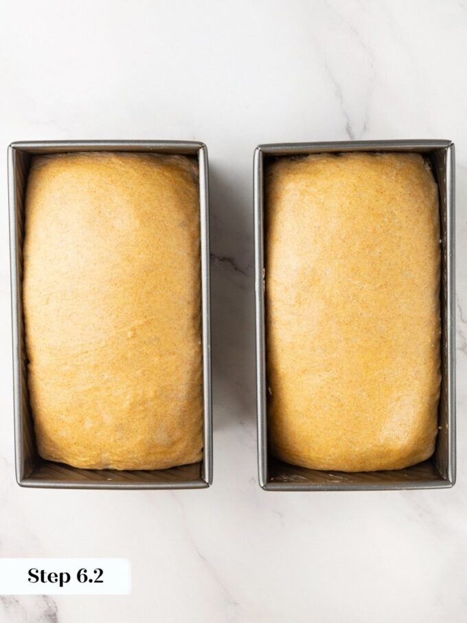 Rising above the pan rim is the cue that sourdough rye bread is ready to bake.