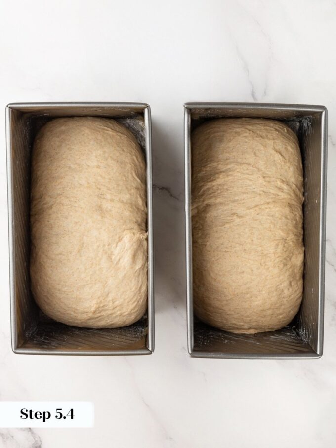 Loaf pans are the whole point here, giving sourdough rye bread clean sandwich-sized slices.