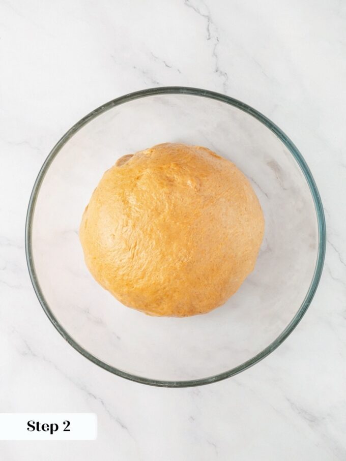 Shaped and coated in oil, sweet potato cinnamon rolls dough begins a ninety minute rise.