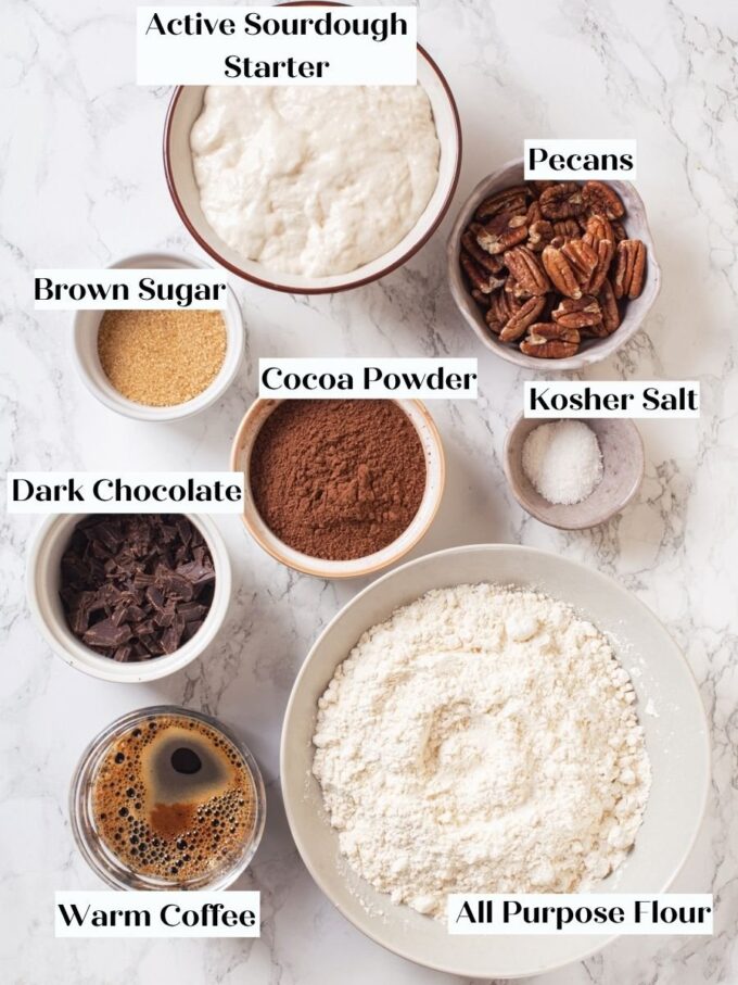 Sourdough starter, dark chocolate, cocoa, and pecans together are what make this chocolate sourdough bread exceptional.