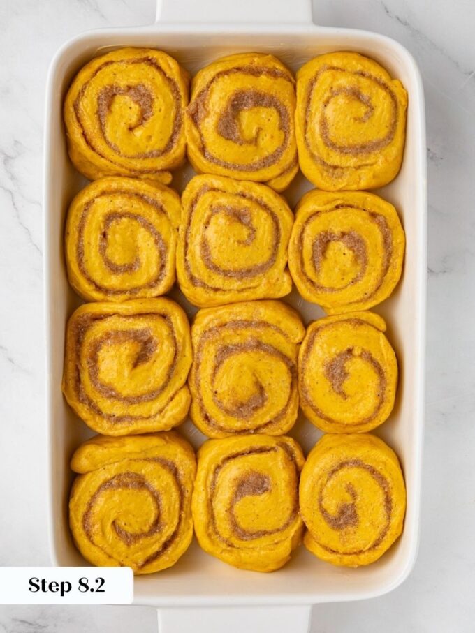Three by four in a buttered dish gives pumpkin cinnamon rolls room for one more rise.
