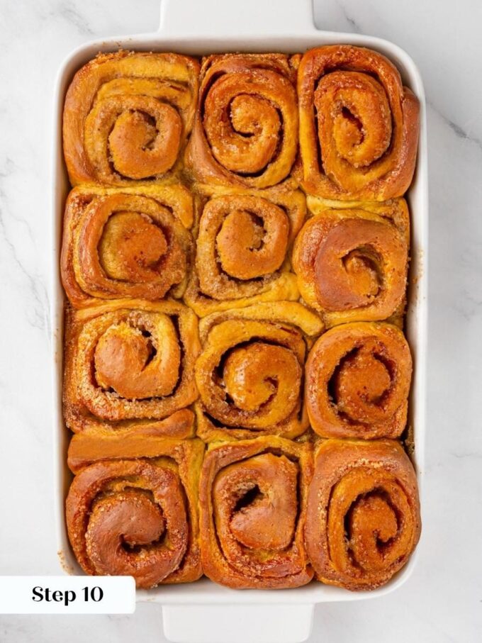 Golden tops and set centers mean these pumpkin cinnamon rolls are baked through, not just browned.