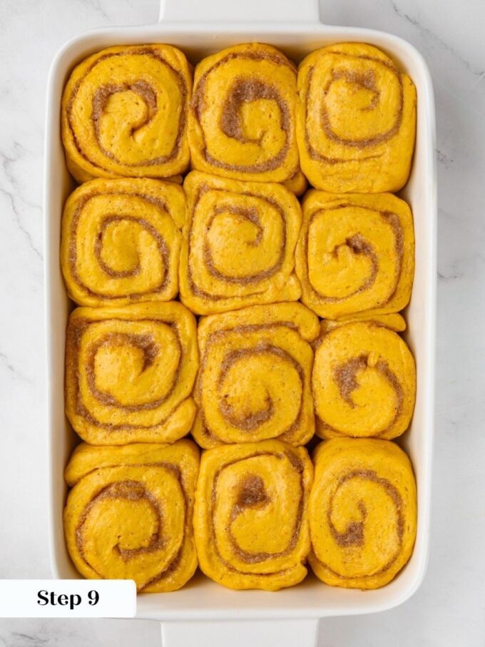 Once the gaps close, pumpkin cinnamon rolls are proofed enough to go into the oven.