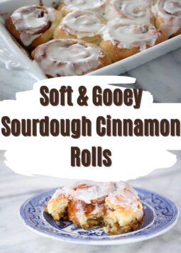 Frosted sourdough cinnamon rolls in a white pan above a single roll on a blue plate showing its soft cinnamon swirl